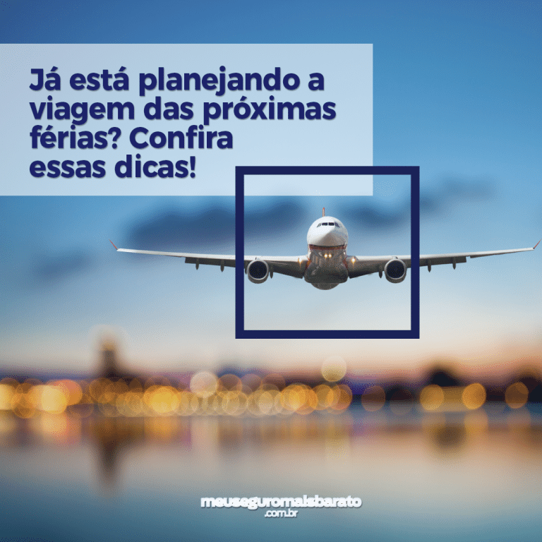 Dicas para organizar a sua próxima viagem com segurança